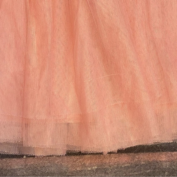 Blue Floral Embroidered Bunny Tulle Dress with Pink Skirt Size Girls Large - Picture 4 of 7